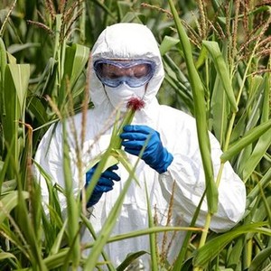gmo omg english subtitles srt gmo omg english subtitles srt