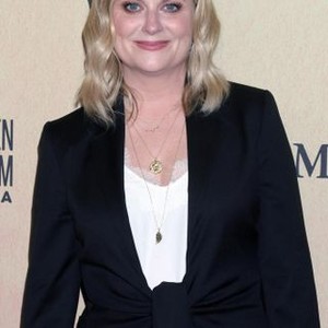 Amy Poehler at arrivals for 2019 Women In Film Annual Gala, The Beverly Hilton, Beverly Hills, CA June 12, 2019. Photo By: Priscilla Grant/Everett Collection