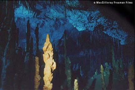 (未使用･未開封品)Imax: Journey Into Amazing Caves [DVD] Amazon.com: IMAX: Journey into Amazing Caves [Blu-ray] : Liam