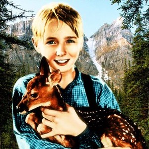 "The Yearling photo 4"