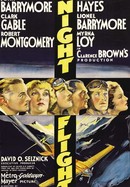 Night Flight poster image