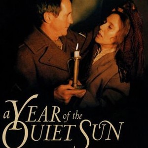 A Year of the Quiet Sun photo 3