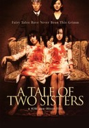 A Tale of Two Sisters poster image