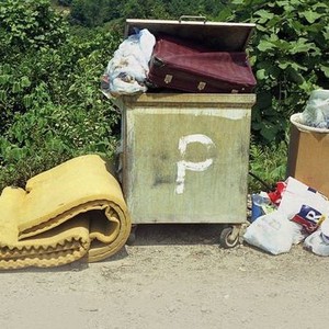 Polluting Paradise photo 1