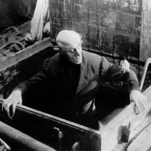 Nosferatu (1922) photo 15