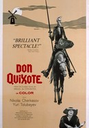 Don Quixote poster image