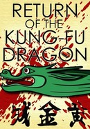 Return of the Kung Fu Dragon poster image