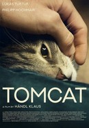 Tomcat poster image