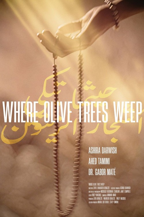 Where Olive Trees Weep poster