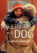 My Life as a Dog poster image