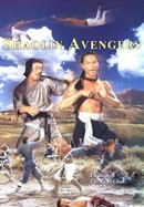The Shaolin Avengers poster image