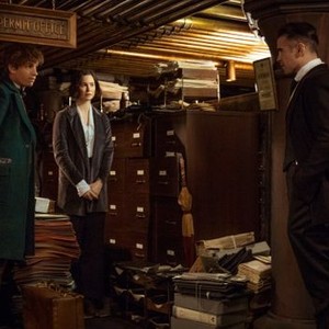 FANTASTIC BEASTS AND WHERE TO FIND THEM, from left, Eddie Redmayne, Katherine Waterston, Colin Farrell, 2016. ph: Jaap Buitendijk. © Warner Bros.