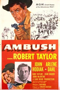 Watch trailer for Ambush