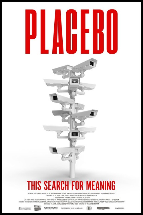 Placebo: This Search for Meaning poster