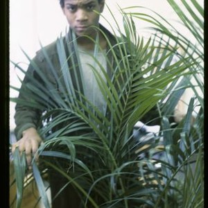 Boom for Real: The Late Teenage Years of Jean-Michel Basquiat photo 14