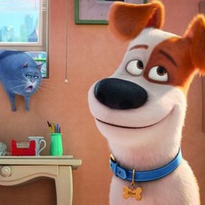 The Secret Life of Pets' Review