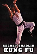 The Secret Shaolin Kung Fu poster image