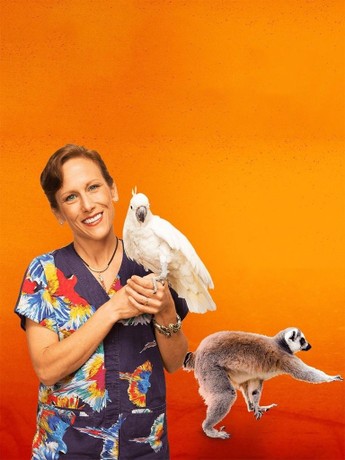 Dr k exotic animal er on sale