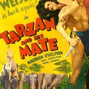 Tarzan and His Mate photo 3