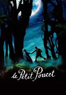 Le Petit Poucet poster image