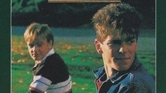 Brothers by Choice | Rotten Tomatoes