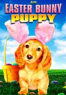 An Easter Bunny Puppy poster image