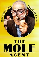 The Mole Agent poster image