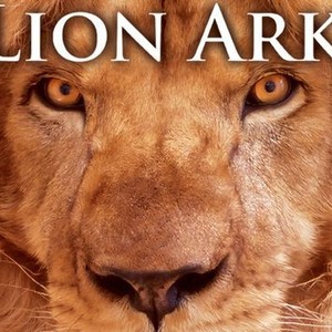 Lion Ark photo 10