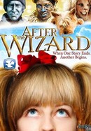 After the Wizard poster image