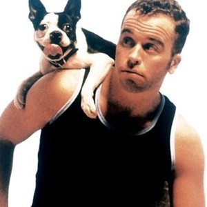 Lie Down With Dogs (1995) - Rotten Tomatoes