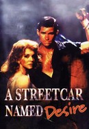 A Streetcar Named Desire poster image