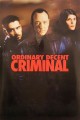 Ordinary Decent Criminal
