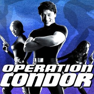 Operation Condor photo 10