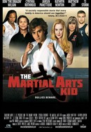The Martial Arts Kid poster image