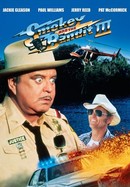 Smokey and the Bandit Part 3 poster image