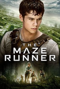 The Maze Runner
