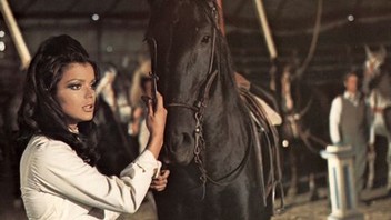 Black Beauty | Rotten Tomatoes