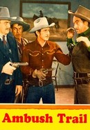 Ambush Trail poster image