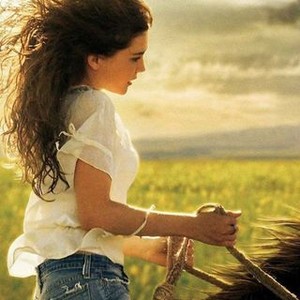 Flicka - Rotten Tomatoes
