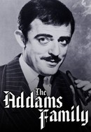 The Addams Family poster image