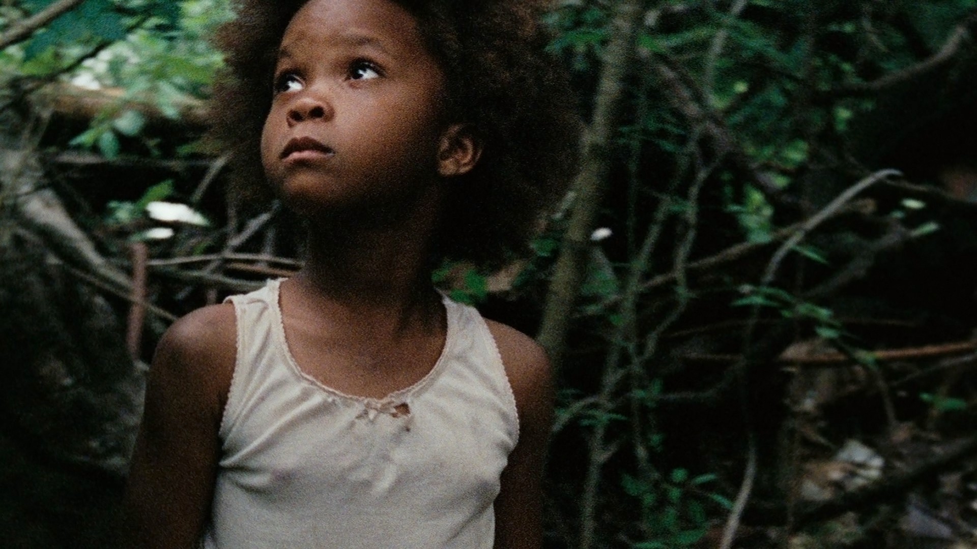  Beasts of the Southern Wild : Quvenzhané Wallis, Dwight Henry,  Lowell Landes, Pamela Harper, Benh Zeitlin: Movies & TV