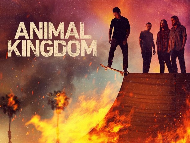 Season 3 animal clearance kingdom amazon prime