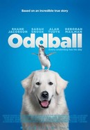 Oddball poster image