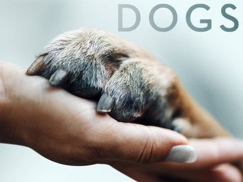 Dogs Season 1 Episode 3 Rotten Tomatoes