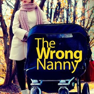 The Wrong Nanny photo 10