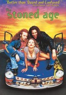 The Stoned Age poster image