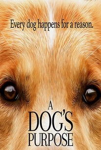 فیلم هدف یک سگ A Dog’s Purpose