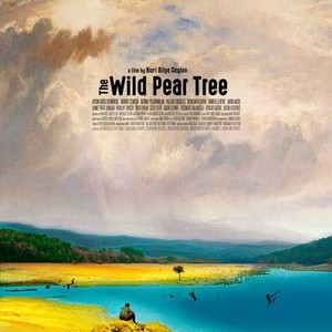 The Wild Pear Tree photo 17