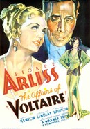 Voltaire poster image