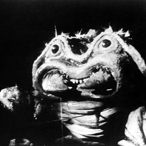 The Black Scorpion (1957) photo 5